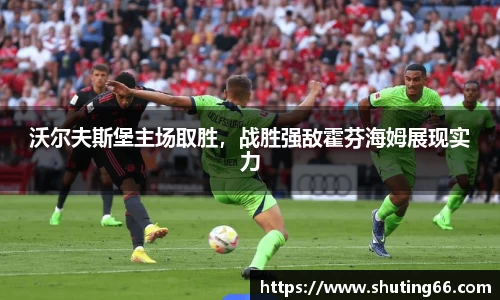 沃尔夫斯堡主场取胜，战胜强敌霍芬海姆展现实力