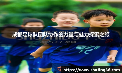 乐动LDSports官网