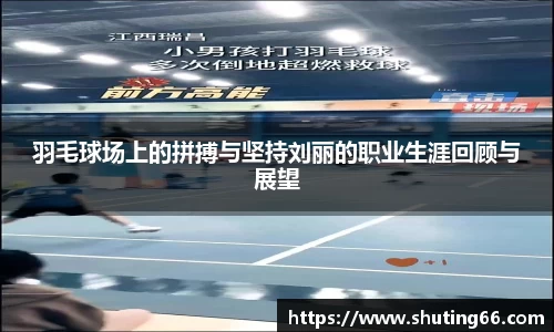 羽毛球场上的拼搏与坚持刘丽的职业生涯回顾与展望